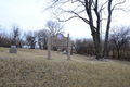 Trinity Black Walnut Cemetery in Will County, Illinois