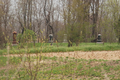 Troutman Grove Cemetery in Will County, Illinois