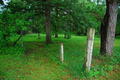 Carterville Community Cemetery in Williamson County, Illinois