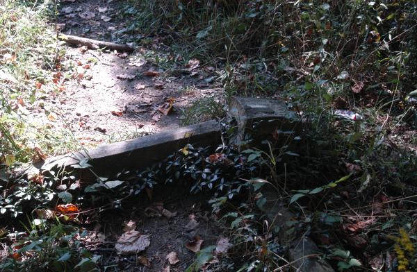 coping Bachelor's Grove Cemetery