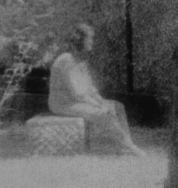 Famous Ghost Photo: Bachelor's Grove Cemetery