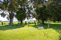 Union Grove Cemetery in Bond County, Illinois