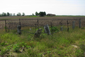 Zimmerman Cemetery in Coles County, Illinois