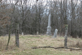 Griffith Cemetery in De Witt County, Illinois