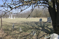 Walters Cemetery in De Witt County, Illinois