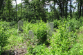 Terrapin Ridge Cemetery in Madison County, Illinois