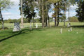 Ringhouse Cemetery or Rakestraw Cemetery in Mason County, Illinois