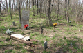 Turner-Wilcox Cemetery in Menard County, Illinois