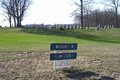 Waggoner Cemetery (aka Ellis Cem) in Moultrie County, Illinois