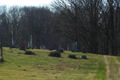 Oak Grove Cemetery in Sangamon County, Illinois