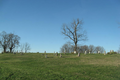 Concord Cemetery in Washington County, Illinois